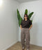 Pantalone in velluto con cinta - Victorem